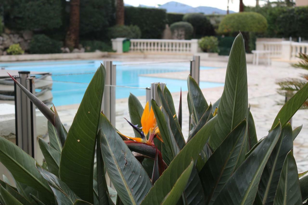 Appartement Palm D'Azur Cannes Zewnętrze zdjęcie